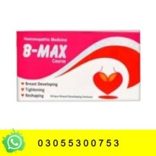 B-Max Course in Pakistan